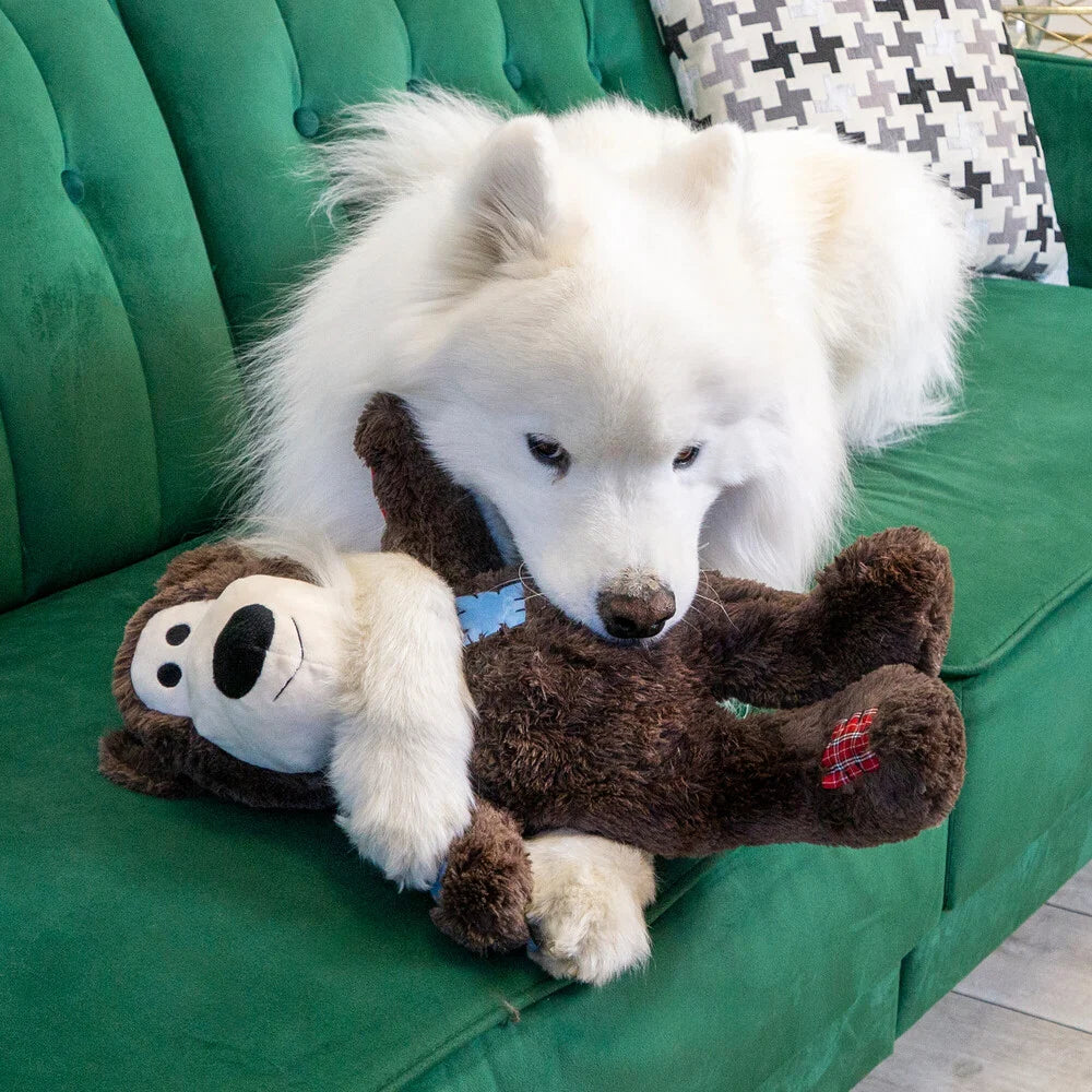 Jumbo Knotted Bear Dog Toy