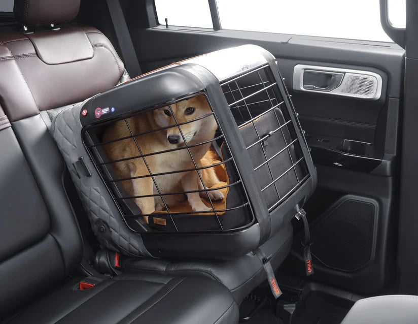 ISOFIX Straps for Car Seat