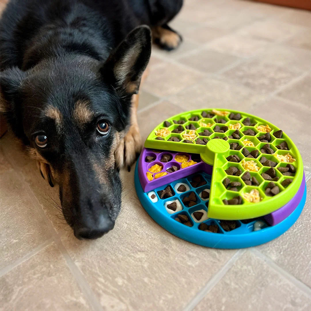 Interactive Dog Puzzle Toy